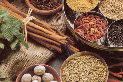 ayurvedisch koken ayurvedisch koken